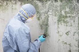 Best Airborne Mold Testing  in Spring Lake Heights, NJ